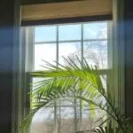 Windows Installation by Energy Windows Today